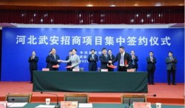 武安最新爆料新闻事件,最新事件引发社会广泛关注