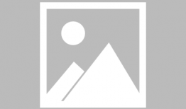 行尸走肉第4季在线观看,生死边缘的绝望求生之旅